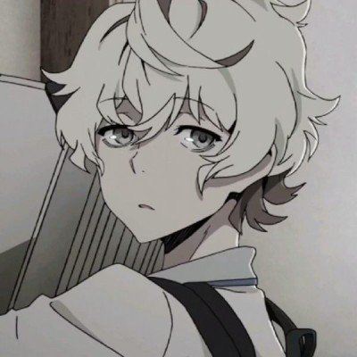 海豚湾恋人
